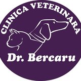Dr. Bercaru - cabinet veterinar