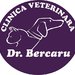 Dr. Bercaru - cabinet veterinar